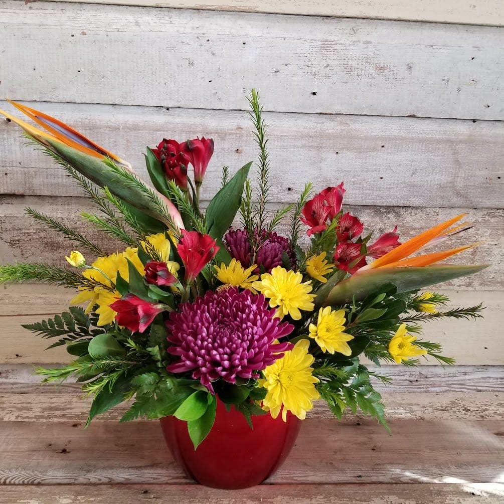 Floral Arrangment/Bouquet - Purple Mums, Yellow Cushion Mums, Red Alstroemeria, and Birds of Paradise in a Red Ceramic Container